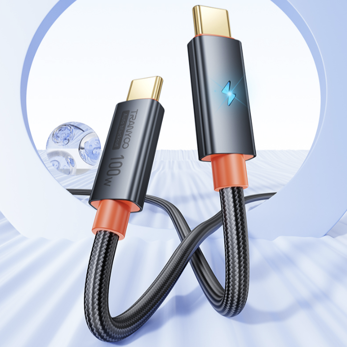 Tranyoo 100w Type C To C Cable